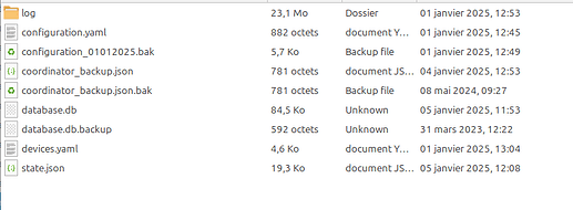 Capture d’écran du 2025-01-05 14-21-18