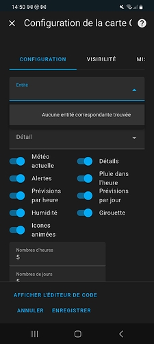 Screenshot_20241117_145054_Home Assistant
