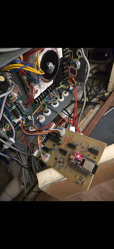 image (3)