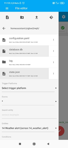 Screenshot_2024-11-26-11-13-41-502_io.homeassistant.companion.android