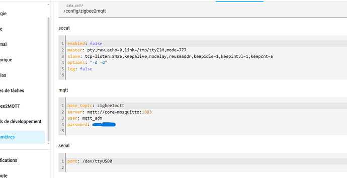 config zigbee2mqtt