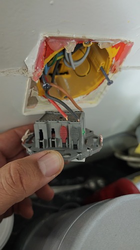 WhatsApp Image 2026-02-02 at 18.07.52