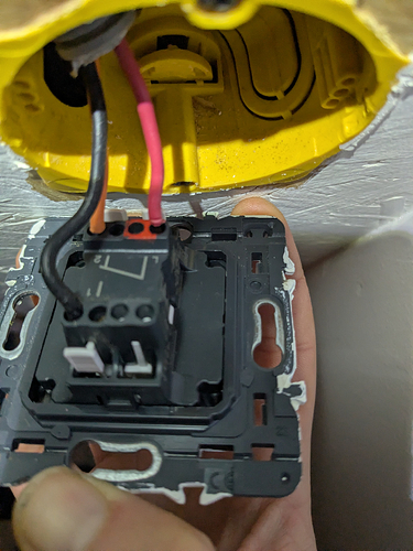 PXL_20260306_110633129