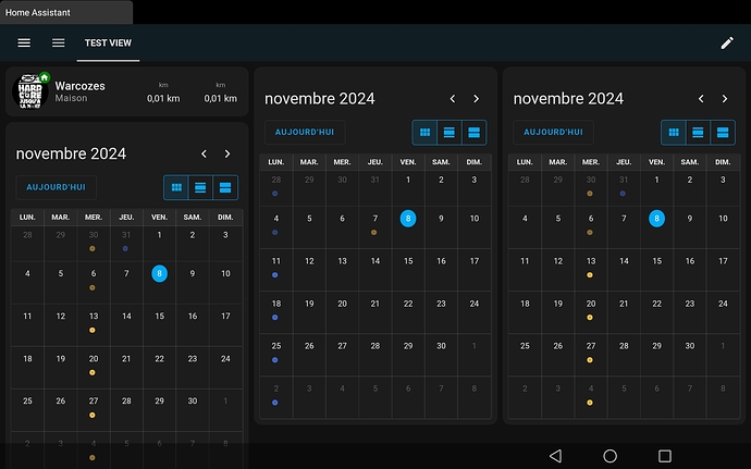 Screenshot_20241108_063244_de.ozerov.fully