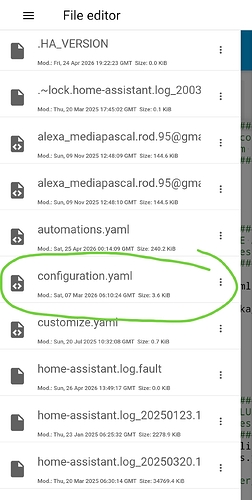 Screenshot_2026-04-28-18-38-51-934_io.homeassistant.companion.android-edit