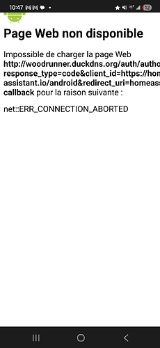 Screenshot_20250807_104711_Home Assistant