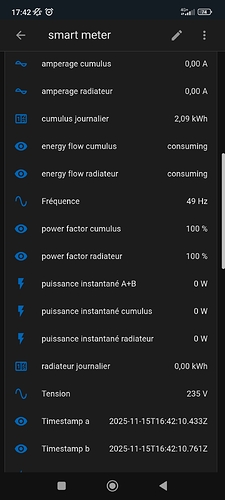 Screenshot_2025-11-15-17-42-21-218_io.homeassistant.companion.android