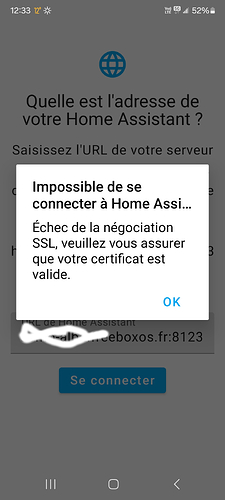 Screenshot_20241029_123315_Home Assistant