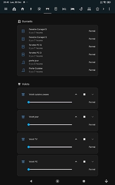 Screenshot_2024-12-30-20-40-04-814_io.homeassistant.companion.android