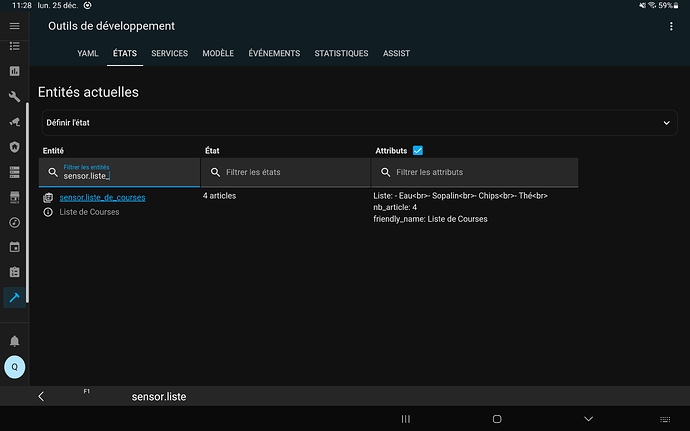Screenshot_20231225_112853_Home Assistant