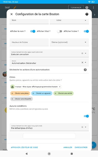 Screenshot_2024-08-23-19-03-49-609_io.homeassistant.companion.android