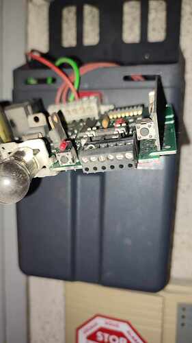 387320254_1072886097062883_1789950316407978442_n