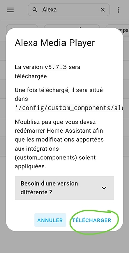 Screenshot_2025-07-06-11-06-32-214_io.homeassistant.companion.android-edit