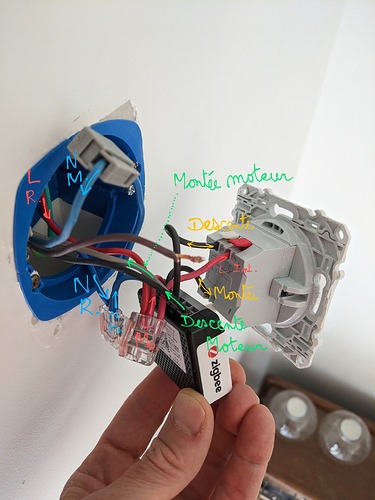 PXL_20240529_153804271.MV~2