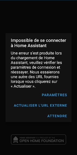 Screenshot_2025-07-10-21-12-31-744_io.homeassistant.companion.android-edit