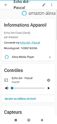 Screenshot_2025-10-11-21-30-44-497_io.homeassistant.companion.android-edit