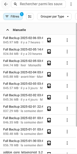 Screenshot_2025-02-06-11-01-12-916_io.homeassistant.companion.android-edit