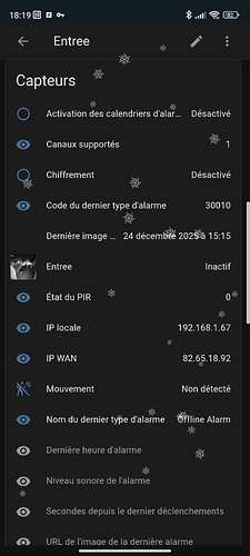 Screenshot_2025-12-24-18-19-55-419_io.homeassistant.companion.android