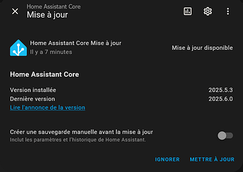 Screenshot 2025-06-13 at 12-13-02 Paramètres – Home Assistant