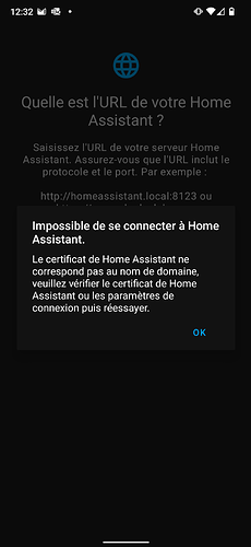 Screenshot_20230525-123231_Home Assistant