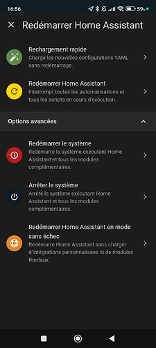 Screenshot_2024-10-13-16-56-22-078_io.homeassistant.companion.android
