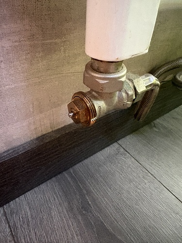 CC865AC6-E9A1-4DB1-8803-749529CC39A6_1_105_c