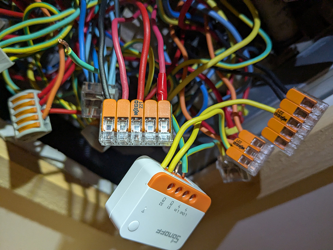 PXL_20260306_110820918