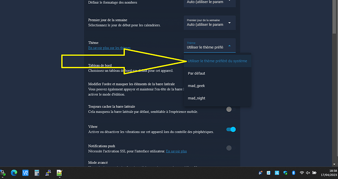 Capture d’écran 2023-04-17 185852