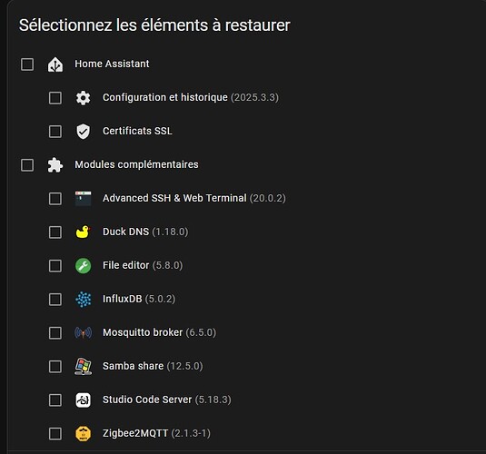 image de la sauvegarde