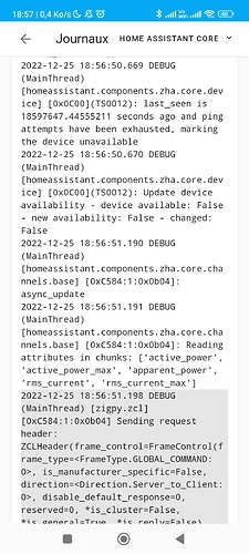 Screenshot_2022-12-25-18-57-54-875_io.homeassistant.companion.android