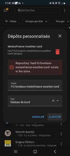 Screenshot_20241117_114152_Home Assistant