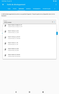 Screenshot_2024-07-19-00-23-41-611_io.homeassistant.companion.android