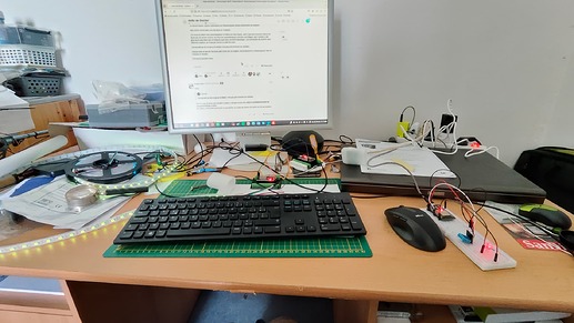 IMG20240215130657