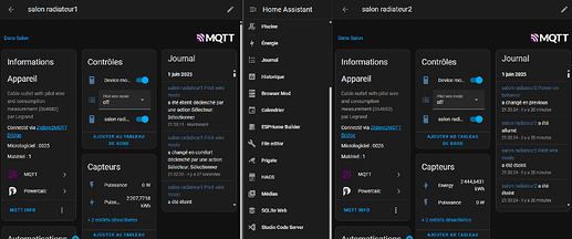 Capture d'écran 2025-06-01 215317