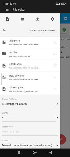 Screenshot_2026-02-09-17-11-05-970_io.homeassistant.companion.android