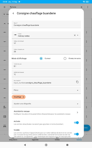 Screenshot_2024-09-12-23-08-05-650_io.homeassistant.companion.android