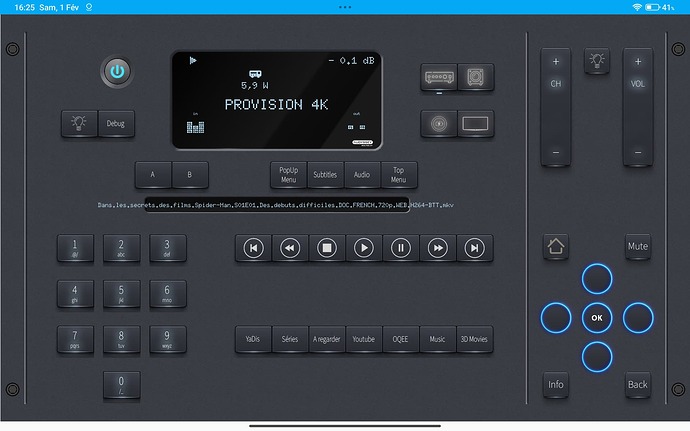 Screenshot_2025-02-01-16-25-42-306_io.homeassistant.companion.android