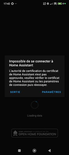 Screenshot_2025-10-10-17-42-47-259_io.homeassistant.companion.android