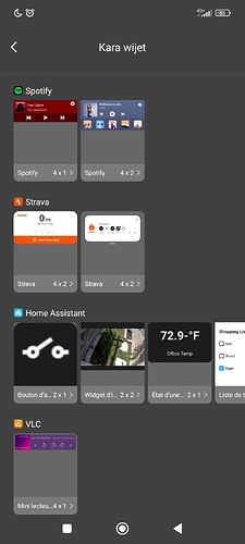 Screenshot_2026-01-21-21-12-13-199_com.miui.home