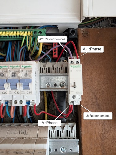 PXL_20251018_123046782 - Copie