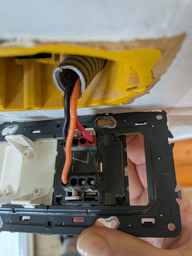 PXL_20260306_110612167