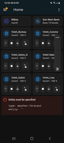 Screenshot_20241116_163618_Home Assistant