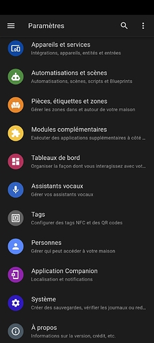 Screenshot_2024-11-07-13-16-55-628_io.homeassistant.companion.android