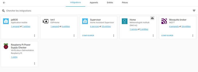 app mobile intégration