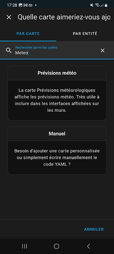 Screenshot_20241116_172845_Home Assistant