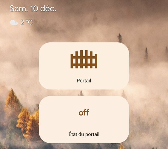 android-gate