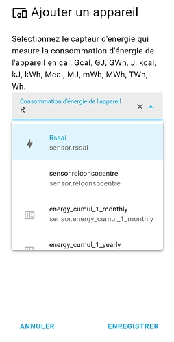Screenshot_2025-04-25-11-17-12-916_io.homeassistant.companion.android-edit