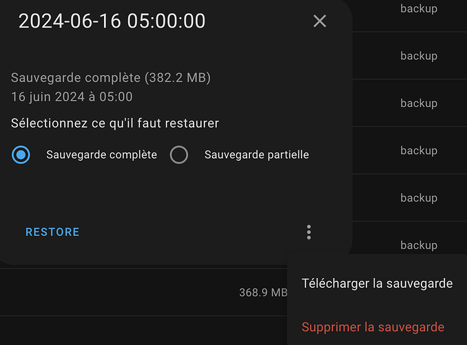 Capture d’écran 2024-06-16 à 12.58.34