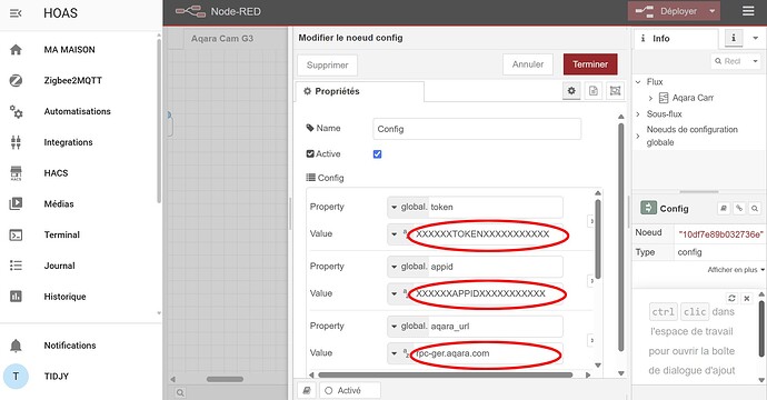 nodered config values