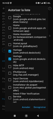 Screenshot_2023-11-13-19-19-44-363_io.homeassistant.companion.android